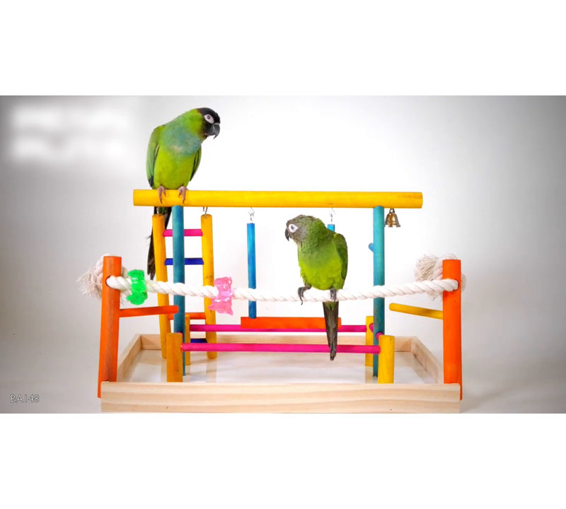 Extra-Large Multicolor Wooden Bird Playpen with Toys
