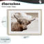 «Shaggy Highland Cow & Clouds», reproduction encadrée sous verre, conception de CAD Designs-148070968-148070974