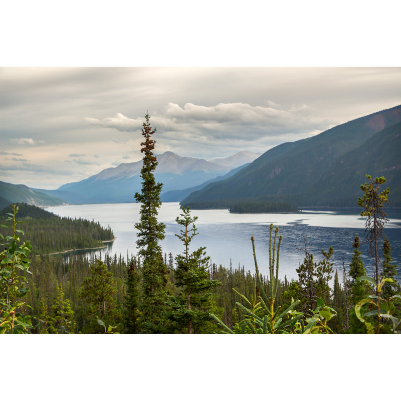Northern British Columbia par Benedek, H 20 po x l 30 po