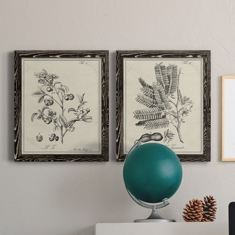«Antique Black and White Botanical IV», ensemble de 2 reproductions d'art sur toile, H 24 po x l 36 po x P 1,5 po