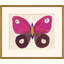 Butterfly Pink (Var. 1) Print by Paule Marrot