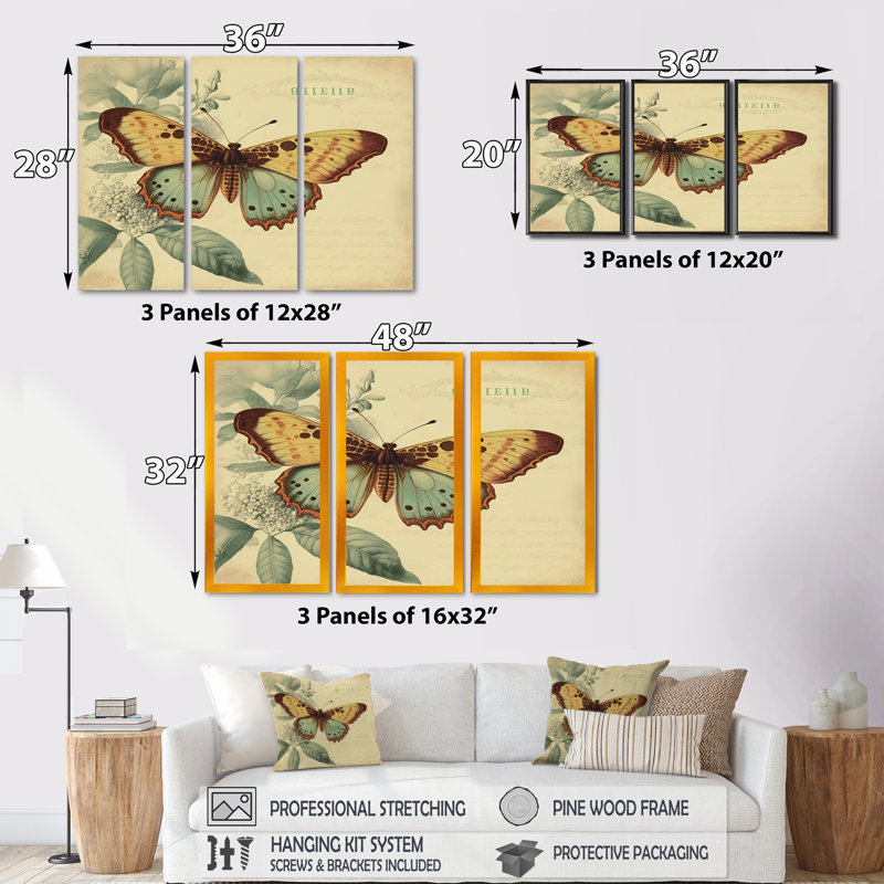 Illustration rétro de papillons VI - animaux, ensemble d'art mural sur toile_80517, H 28 po x l 36 po x P 1 po, Toile tendue
