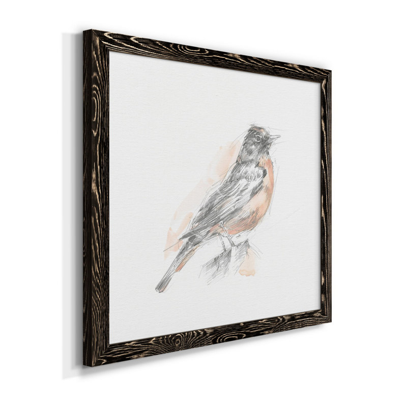 Robin des bois croquis I-Premium, toile encadrée - prête à être accrochée, Cadre noir, H 17 po x l 17 po x P 1,5 po