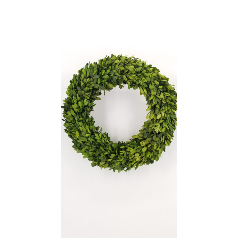 Boxwood Wreath, 14" H x 14" W x 2.75" D
