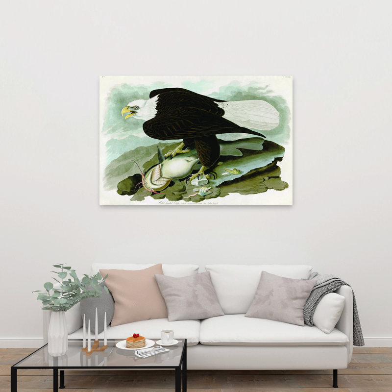 Aigle à tête blanche, abstrait, contemporain, oiseau, poisson, paysage, impression d'art mural, 40" H x 60" W