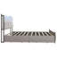 EU Double & King Velvet Storage Bed With 4 Drawers & LED Headboard, Upholstered Bed Frame With USB Ports, Beige-1289914650