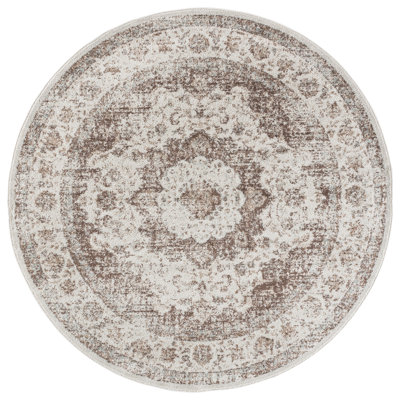 Evoke 220 Performance Oriental Rug