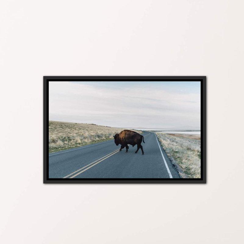 « buffalo bison » par chelsea victoria-impression, H 18 po x l 26 po x P 1,5 po, Toile avec cadre noir