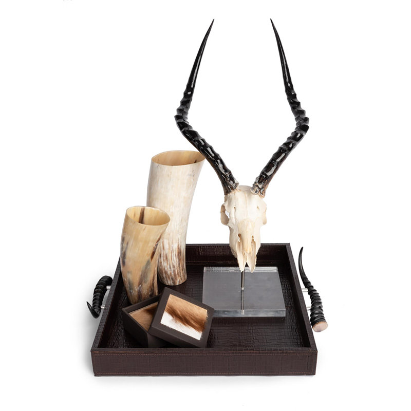 Mounted Impala Skull