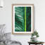 Green Leaf Line - Framed Print-62793410-62793413