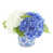Blue/White/Green