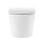 Cuvette de toilette Calice-92365068