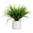 11'' Faux Foliage Grass in Ceramic Pot