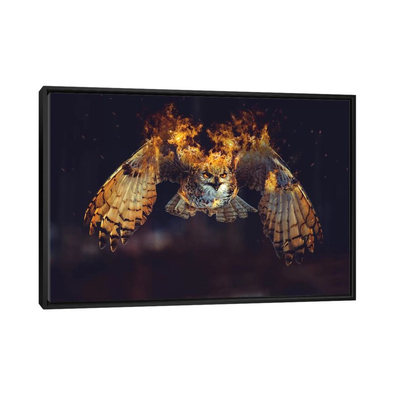 Owl On Fire by Paul Haag - Print on Canvas, Black Framed, 101.6 cm H x 66.04 cm W