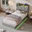 Upholstered Bed-354622439-354622443
