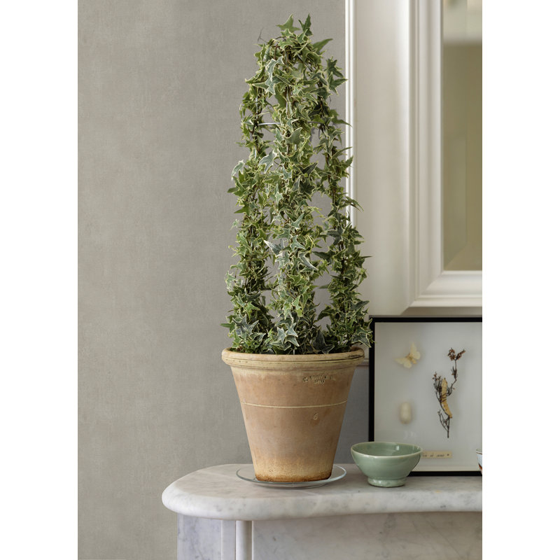 Rouleau de papier peint L 33 pi x l 20,9 po Carrero, Taupe