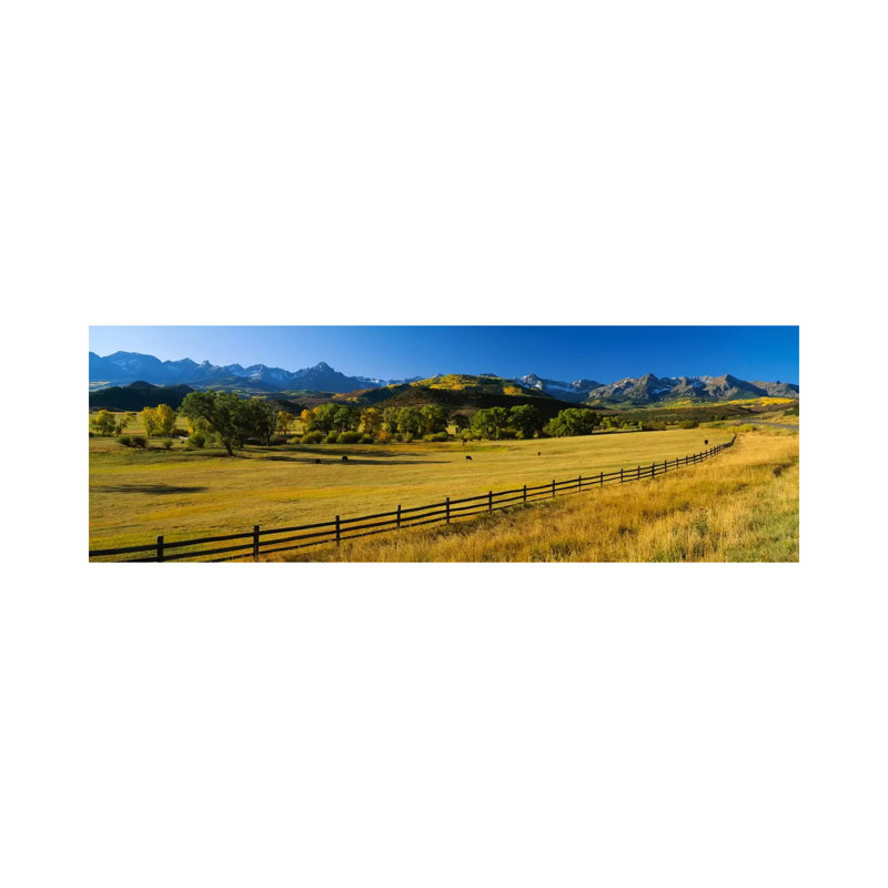 Trees In A Field, Colorado, USA - Wrapped Canvas Panoramic Print, 121.92 cm H x 40.64 cm W x 3.175 cm D