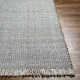 Viewcrest Hand Woven Recycled P.E.T. Indoor / Outdoor Area Rug in Aqua Blue/Gray