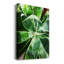 «Green Tropcal Succulent», impression sur toile tendue-1482392774