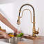 Bolden CASAINC 1.8 GPM Spring Neck Pull Down Kitchen Faucet with Deck Plate-93965564