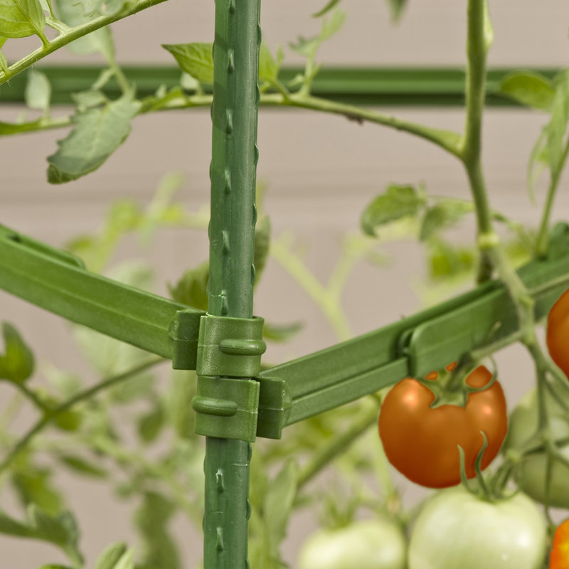 daniel plants Prairie Sand Plant Shelves: Showcase Your Plants with Elegance