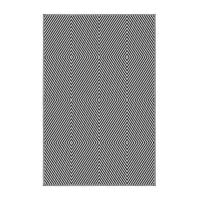 Indoor Rug
