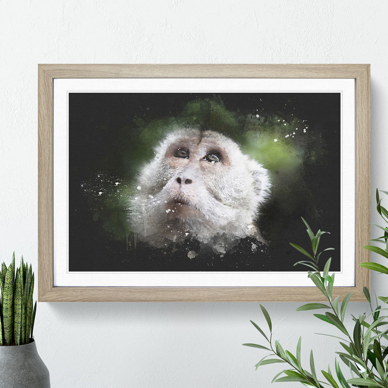 Macaque Monkey - Picture Frame Graphic Art, Oak Framed, 48cm H x 65cm W x 2cm D
