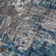 Tapis bleu Dodsworth