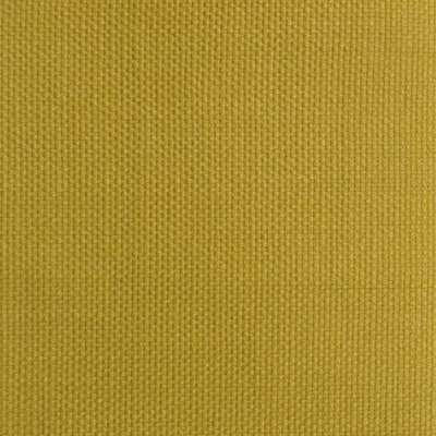 Shenanigans Fabric
