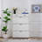 Shoe Cabinet, Storage Shoe Two Drawer, Drawers, Three-Fold Doors, Large-1058733437