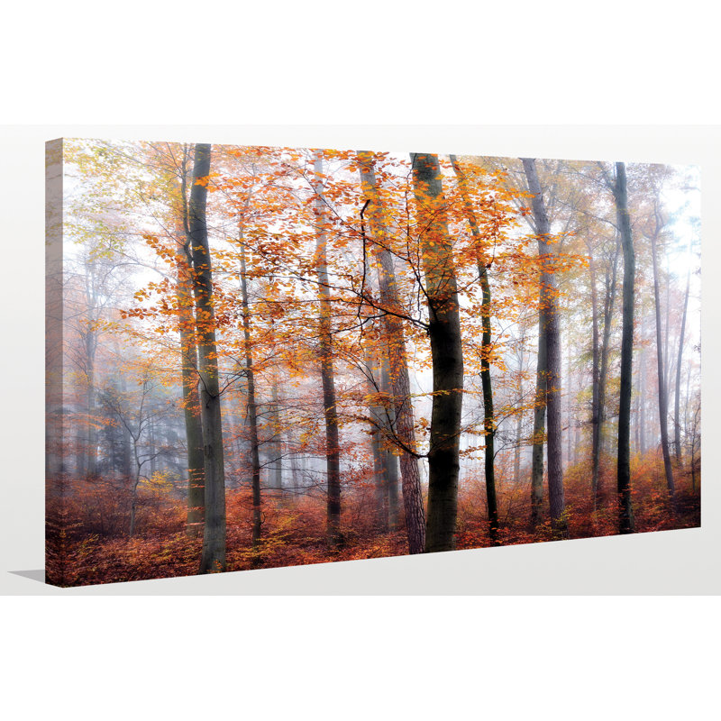 «Lost in the Forest», reproduction de photo sur toile tendue, H 28 po x l 48 po