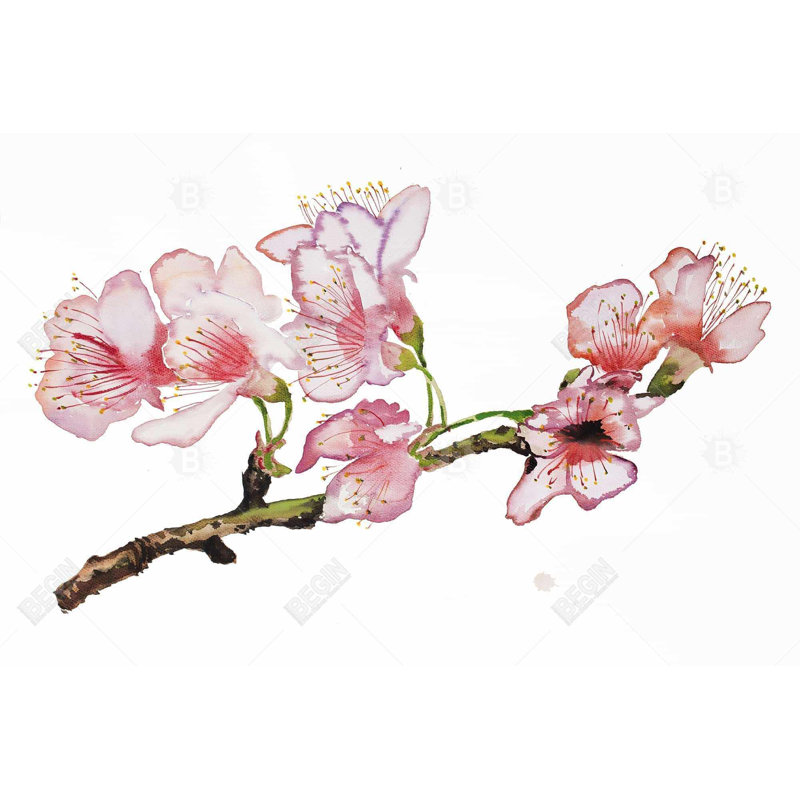 "Branche de fleur de cerisier en rose" sur toile