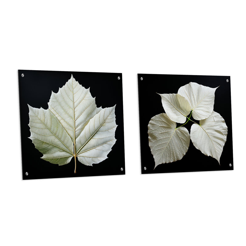 Ensemble de 2 feuilles d'art mural en verre noir et blanc, H 16 po x l 33 po