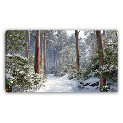 Snowfall in Evergreen Valley Wrapped Canvas Wall Art