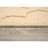 Nasturtium Indoor Rug-2072903533