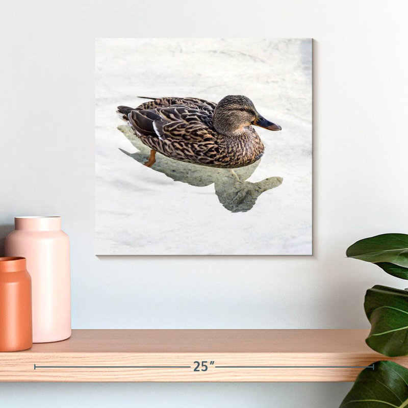 Canard colvert Brampt femelle, H 16 po x l 16 po