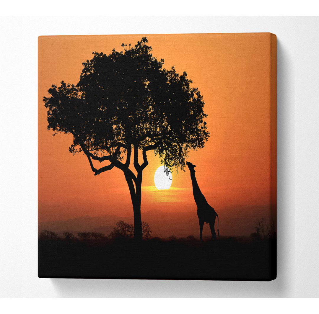 Adian Giraffe Safari Sonnenuntergang - Druck