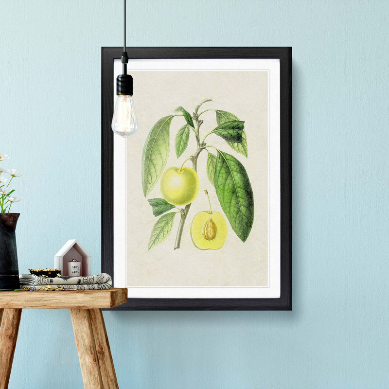 Prune Fruit Illustration - Framed Print, 48cm H x 36cm W x 2cm D, Black Framed
