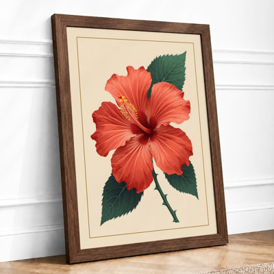 Coral Hibiscus Study Botanical - Framed Print