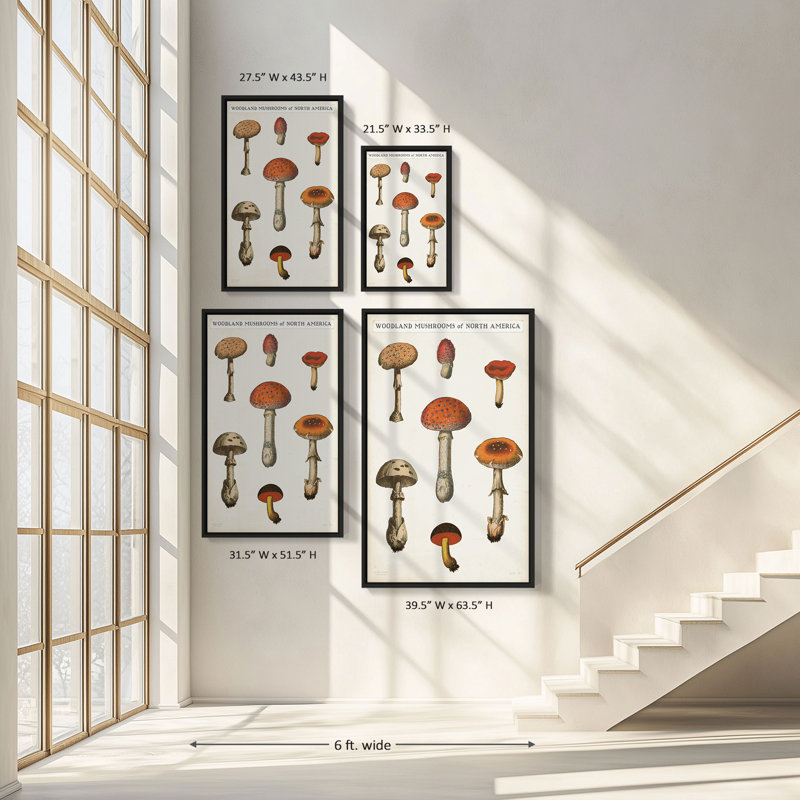"Mushroom Chart III Light" by Wild Apple Portfolio Print on Canvas in a Floater Frame, 33.5" H x 21.5" W, Black