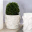 Bougainvillea Garden Handmade Planter
