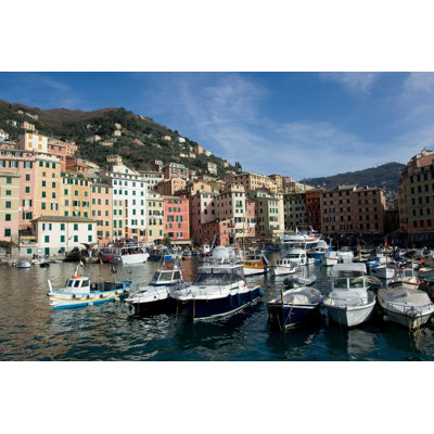 Camogli Port by Oliale72