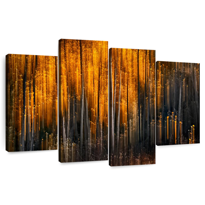 Avery Falling Stars, 32" H x 52" W