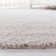Jiang Beige Area Rug