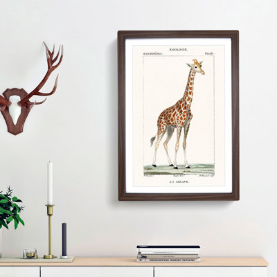 Giraffe by P.J.F. Turpin - Picture Frame Painting Print