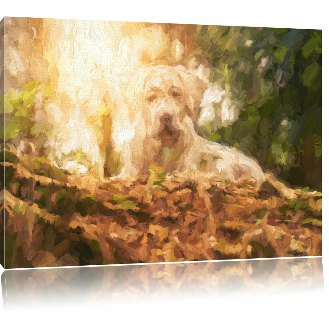 Leinwandbild "Hund im Wald bei Sonnenuntergang", Grafikdruck