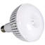 80 Watt LED Bulb-70169852