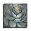 «Bloom II» par Jeanette Vertentes-1445737992