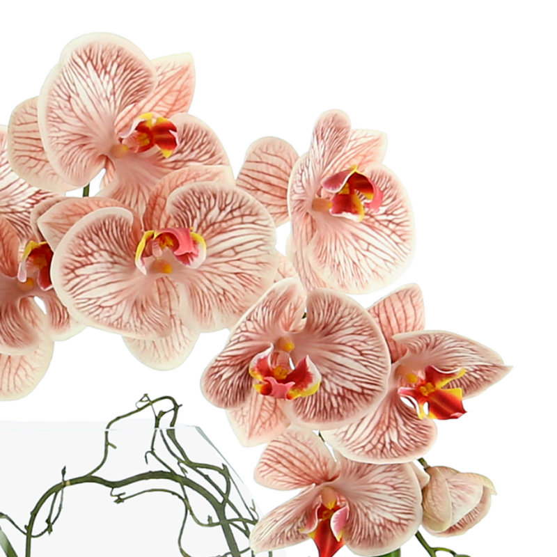 Orchid and Vine Arrangement in Vase