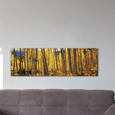 Aspen Trees In Autumn, Colorado, USA #2 by Panoramic Images - Panoramic Gallery-Wrapped Canvas Giclée on Canvas